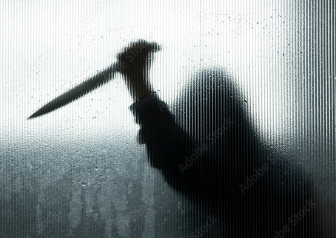 Mulher mata amiga a facadas durante bebedeira em Manaus