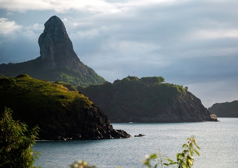 Tubarão tenta arrancar perna de criança em Fernando de Noronha