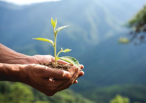 Aleam aprova novos prazos para liberação de licenciamento ambiental