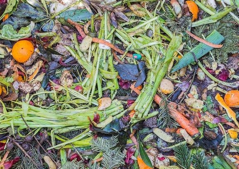 Brasileiro desperdiça 60 quilos de comida por ano, diz Embrapa