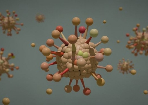 Cidade de Ribeirão Preto confirma 12 casos da nova variante de Manaus