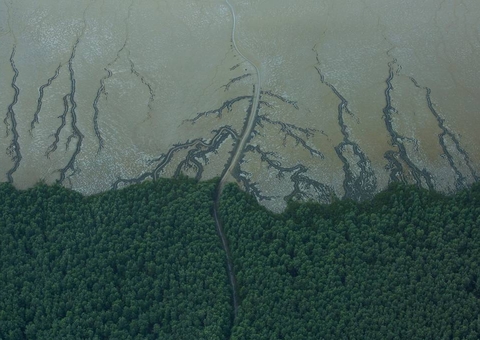 Foz do Amazonas é supersensível a óleo e exploração carece de dados científicos, dizem pesquisadores