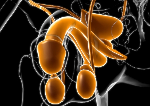 Falta de higiene pode causar perda do pênis; saiba como evitar câncer