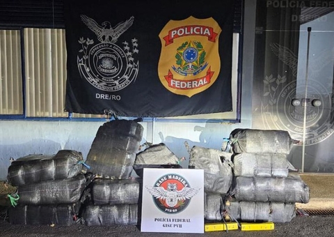 PF apreende 430 kg de drogas próximo à BR-319