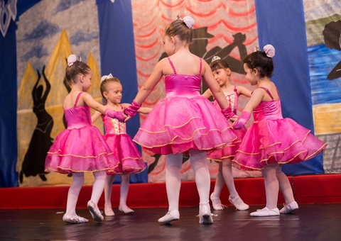Lei proíbe apresentações de dança erótica em escolas de Manaus