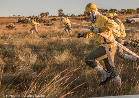 Aberto edital de contratação de mais de 134 brigadistas