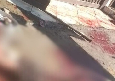 Quatro pitbulls matam trabalhador enquanto prestava serviço em casa