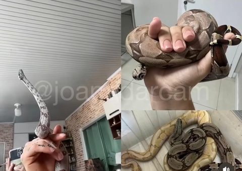 Vídeo mostra cobra da família de Djidja Cardoso inalando fumaça de maconha