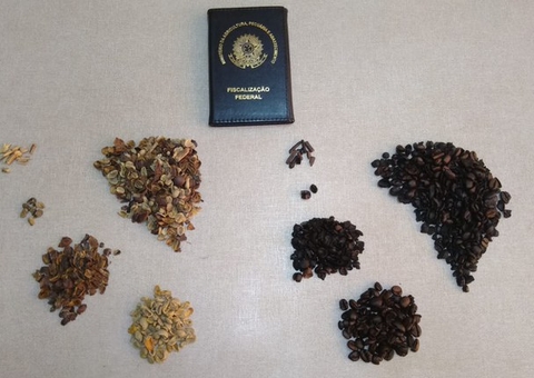 Governo manda recolher 8 lotes de café por fraude e impurezas; veja marcas