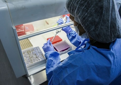 Fiocruz Amazônia faz sequenciamento do vírus causador da varíola dos macacos