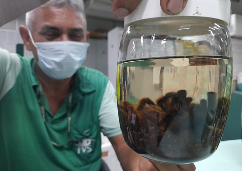 Acidente com animais peçonhentos aumenta com cheia dos rios no Amazonas