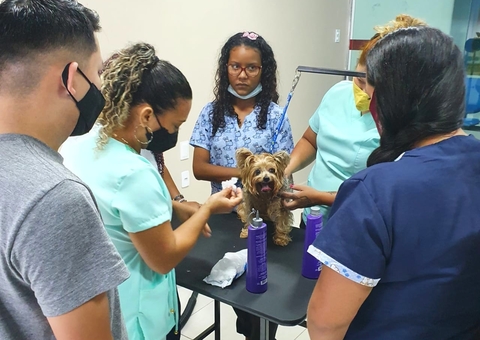Abre amanhã inscrições para curso gratuito de 'Banho e Tosa para Pets' em Manaus