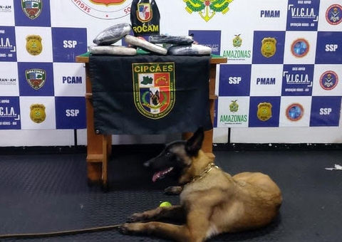Cão policial encontra droga avaliada em R$ 80 mil dentro de lixeira em barco no Amazonas