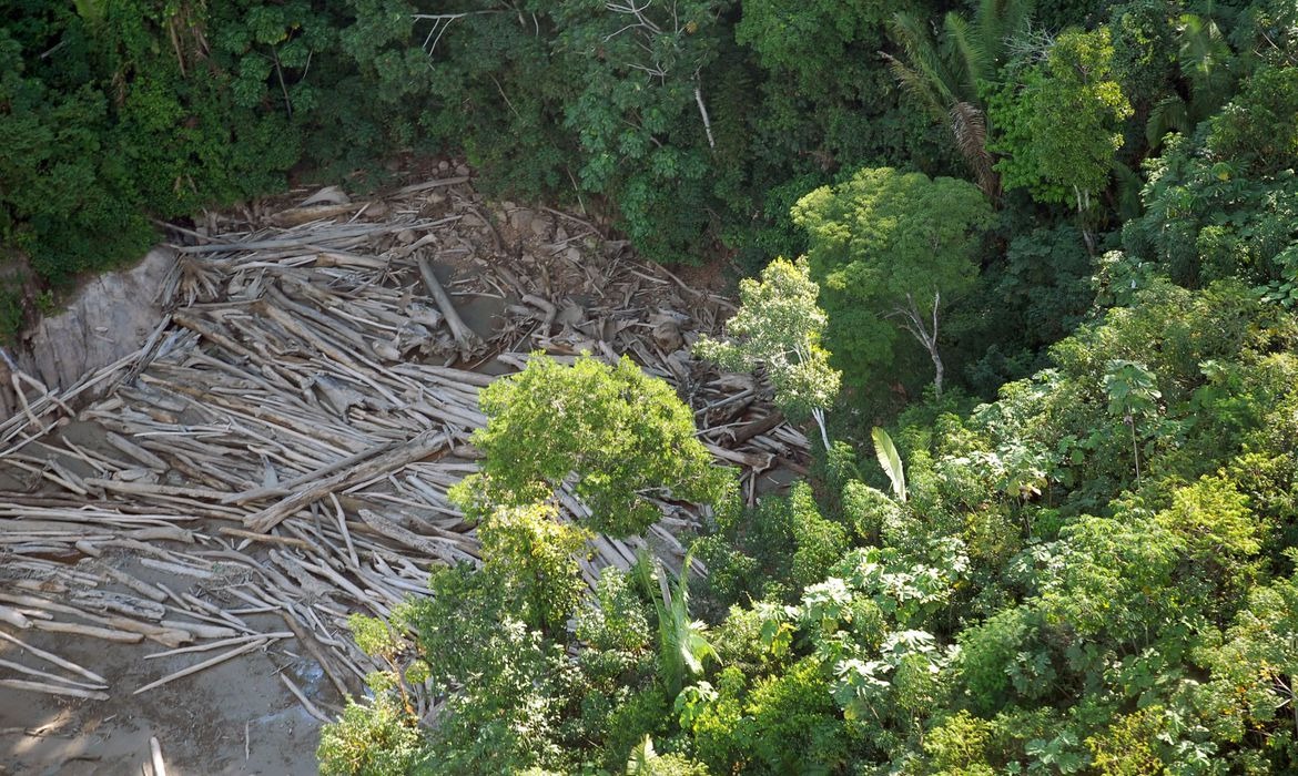 Amazônia Legal teve desmatamento recorde em 2022, diz Inpe