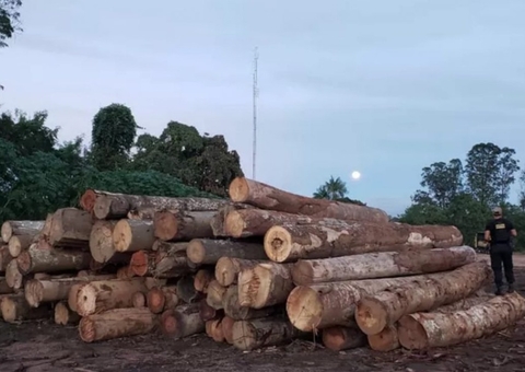 Setembro deste ano foi o pior mês em desmatamento para Amazônia desde 2015, aponta Inpe