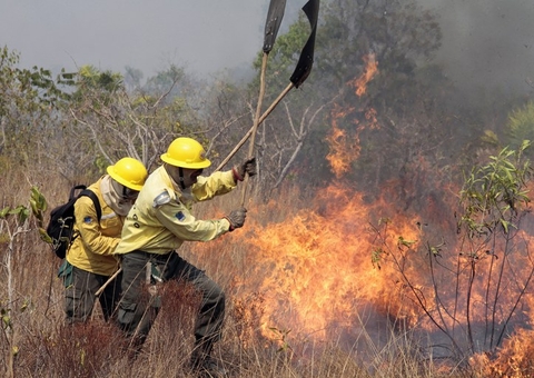 Em menos de 9 meses deste ano, queimadas na Amazônia superam as de 2022