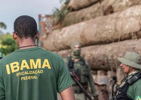 Mais de R$ 298 milhões em multas ambientais podem prescrever neste ano no país