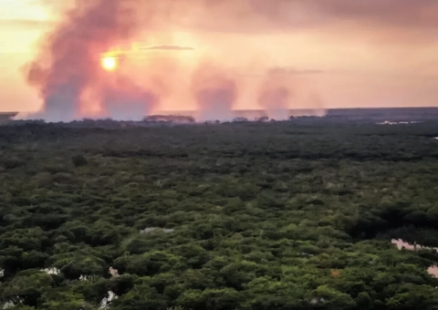 Incêndio de grandes proporções atinge Parque Nacional do Jaú, no Amazonas
