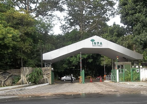 Com bolsas de até R$ 4 mil, Inpa prorroga inscrições para Programa de Capacitação