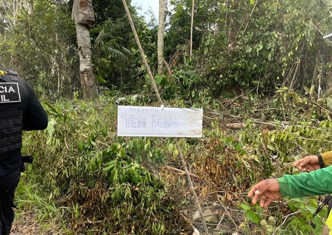 Parque ecológico que tinha lotes vendidos a R$ 1,5 mil por ocupantes é reintegrado no Amazonas