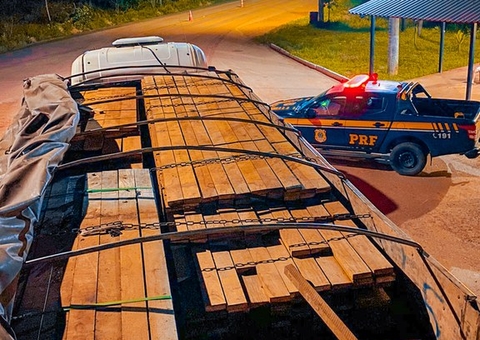 Caminhoneiro é preso com carga de madeira ilegal na BR-319