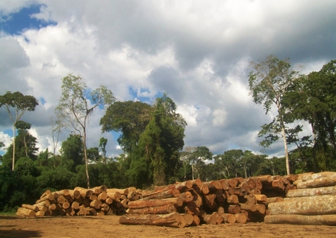 Desmatamento recorde na Amazônia ultrapassa os 9 mil km² de janeiro a setembro deste ano, diz Imazon