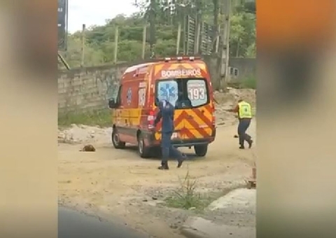 Vídeo mostra pessoas sendo atacadas por enxame de abelhas em Santa Catarina