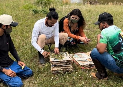 Projeto da Ufam já coletou mais de 750 espécies de plantas para estudos