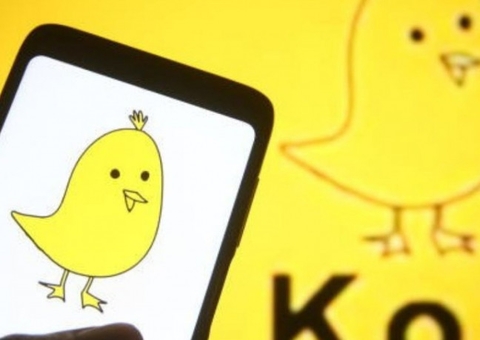 Koo viraliza após polêmicas no Twitter e vira meme entre usuários 