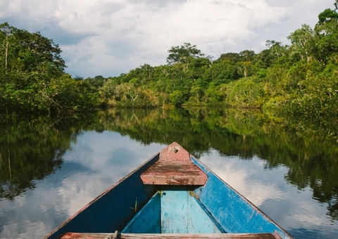 Nilton Lins lança curso superior inédito no Brasil de Biotecnologia Amazônica