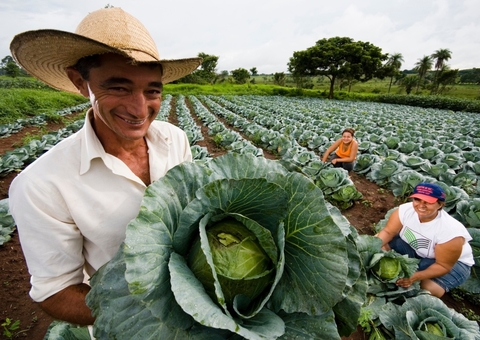 Sancionada proposta de Roberto Cidade que incentiva a agricultura familiar no Amazonas