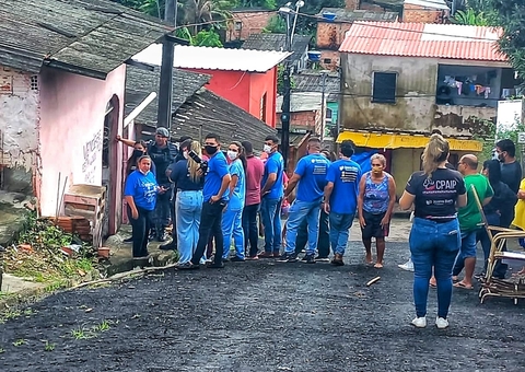 70 gatos são resgatados de situação de maus-tratos durante operação em Manaus