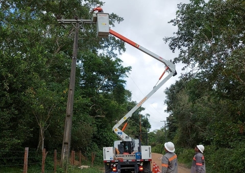 STF decide que Amazonas Energia é obrigada a podar árvores próximas às redes de tensão