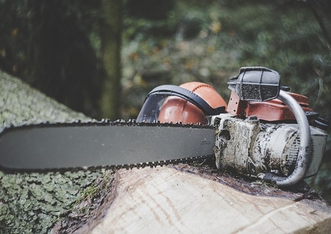 Empresas são processadas por loteamento clandestino na AM-010