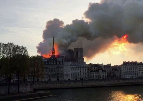 Autoridades florestais buscam árvores para reconstruir Notre-Dame