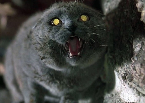 Paramount+ está desenvolvendo novo 'Cemitério Maldito'