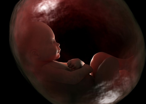 Estudo identifica pela 1ª vez infecção pulmonar causada pelo coronavírus em feto