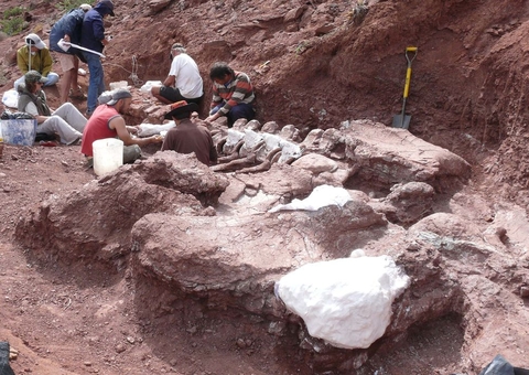 Titanossauro descoberto na Argentina é exemplar mais antigo da espécie