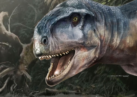 Nova espécie de dinossauro é descoberta na Argentina