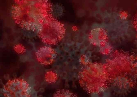 Variante encontrada em Manaus já atinge 64% dos infectados em São Paulo