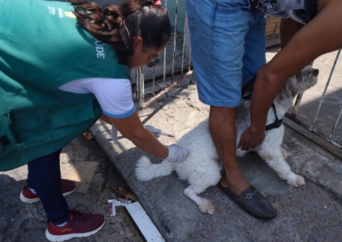 Campanha de vacinação antirrábica vai atender mais 13 bairros em Manaus