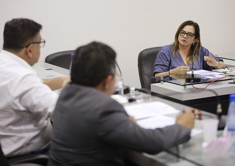 CPI da Energia recebe depoimento de promotora do Ministério Público do Amazonas