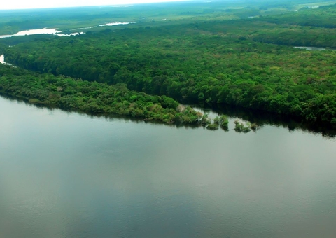 Decreto renova atuação das Forças Armadas na Amazônia 