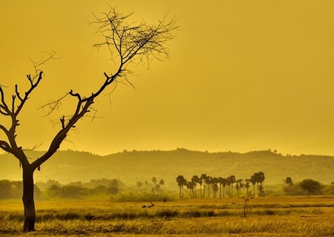 Aquecimento global: mudanças podem ser irreversíveis entre 2040 e 2050