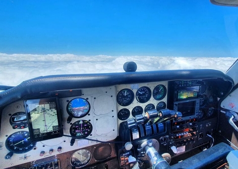 Piloto faz pouso de emergência ao perceber cobra venenosa nas costas 