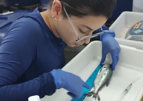 Tambaquis e matrinxãs: pesquisas no exterior prometem revolucionar aquicultura do Amazonas