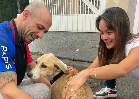 Cadela Pandora é encontrada após mais de 1 mês desaparecida em aeroporto 