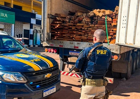 PRF apreende 25 m³ de madeira transportada ilegalmente na BR-174