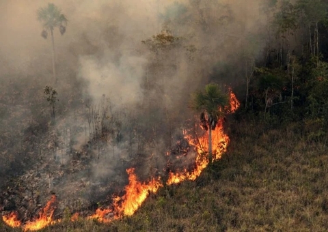 Amazônia teve mais de 5,3 mil focos de queimadas em julho, diz Inpe