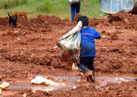 Trabalho infantil no Amazonas é maior que média nacional, diz Fórum